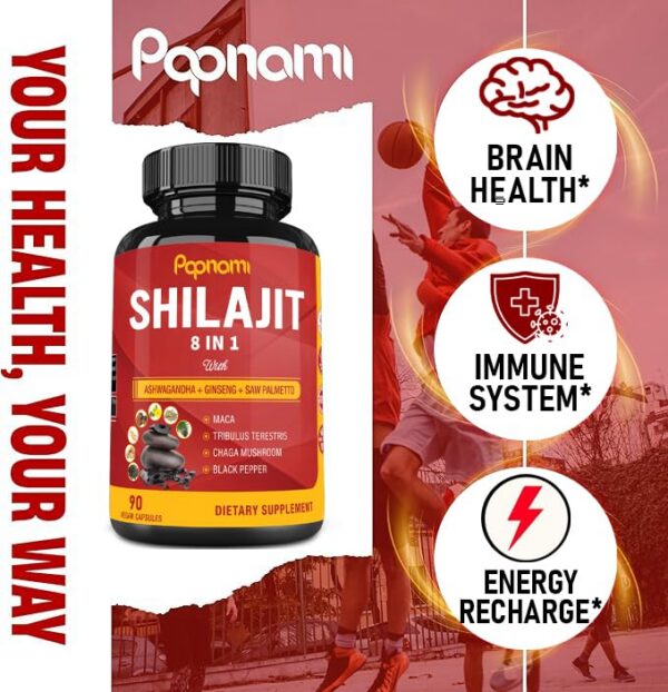 Version 1.0.0 Shilajit suplementación mineral y nutrientes del Himalaya