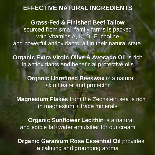 Version 1.0.0 Detalle de formulacion paleo