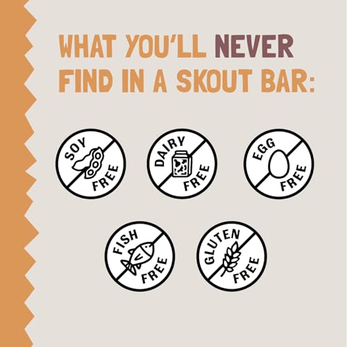 Snack orgánico fácil de proteína vegana Skout Organic barritas