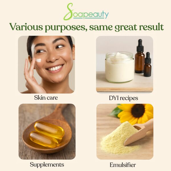 Version 1.0.0 Textos y listado de ingredientes Lecithin girasol