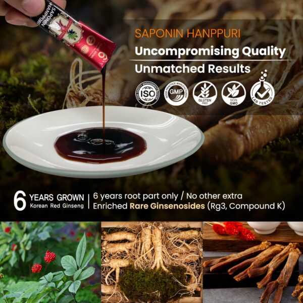 Sobres individuales BTGIN extracto ginseng rojo para enfoque y salud