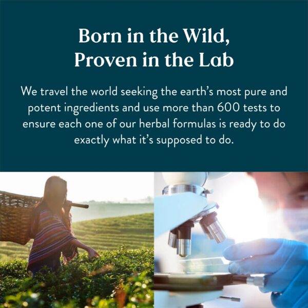 Cápsulas naturales de bayas de espino Nature's Sunshine