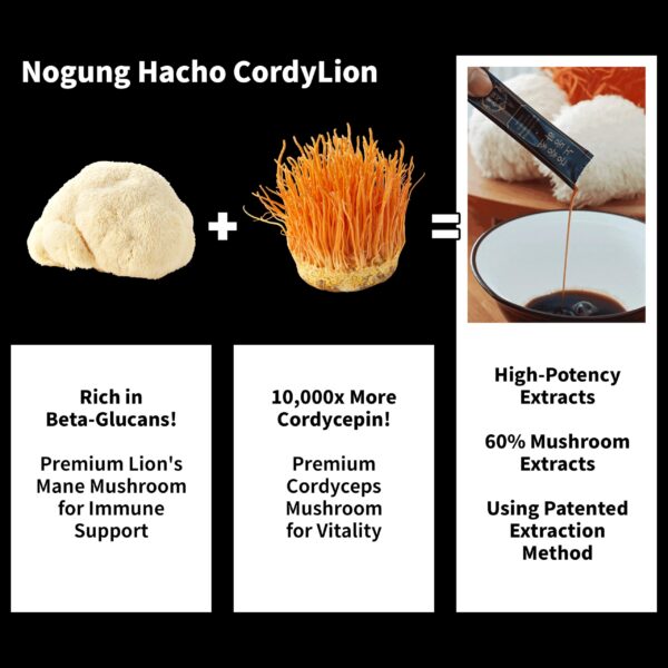 Version 1.0.0 Sobres Nogung Hacho CordLion