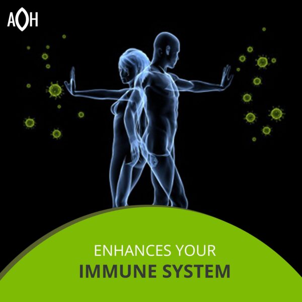 Version 1.0.0 Softgels aceite orégano para salud digestiva y sistema inmune