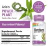 Version 1.0.0 Solaray Bamboo Stem Extract etiqueta trasera