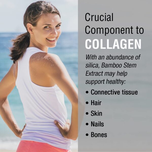 Version 1.0.0 Cápsulas de Bamboo Silica vistas