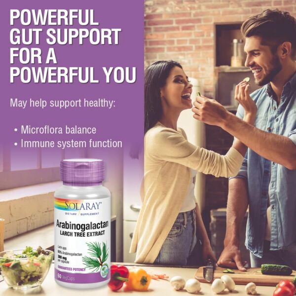 Version 1.0.0 Solaray suplemento fibra prebiótica extracto de árbol de alerce