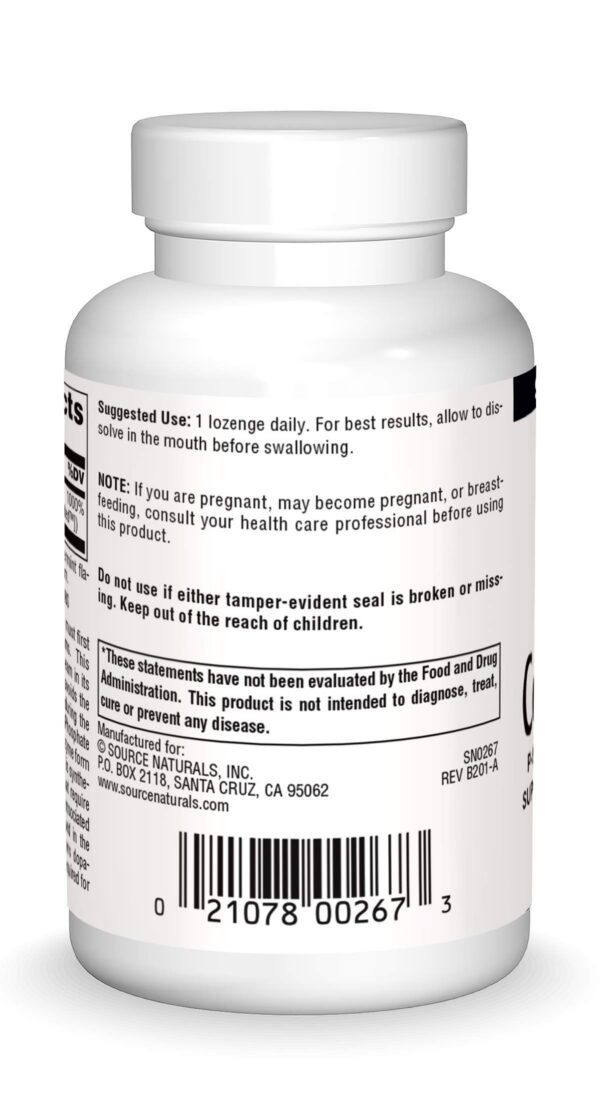 Etiqueta de ingredientes Source Naturals B-6