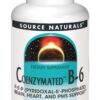 Caja Source Naturals Coenzymated B-6 333 mg