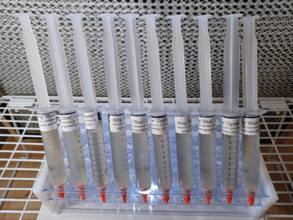 Sporenity Jeringa para Cultivo de Hongos Gourmet