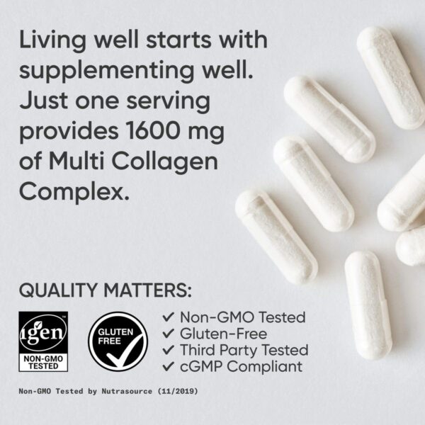 Version 1.0.0 Detalles de ingredientes del colageno