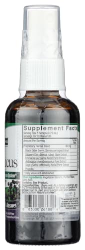 Detalle frasco spray jarabe saúco Nature's Answer 2 fl oz