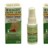 Spray garganta homeopático hoja de olivo sabor frambuesa-menta