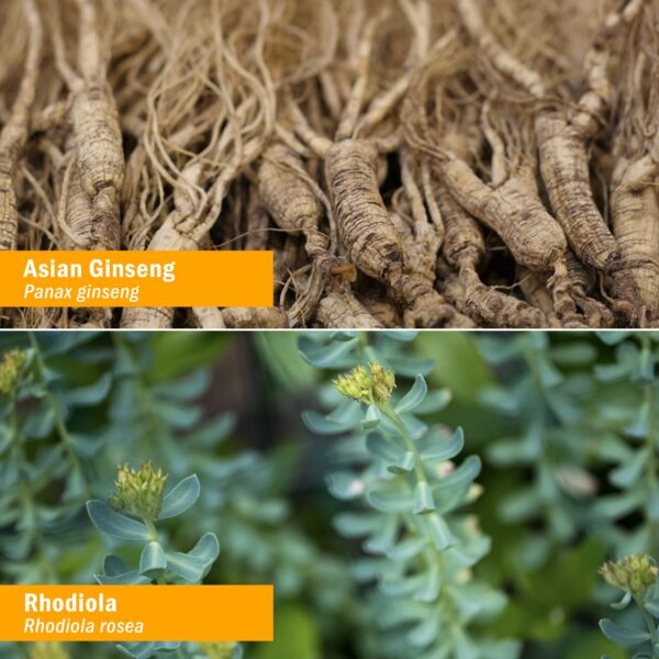 Spray Herb Pharm 30ml para enfoque mental y uso diario