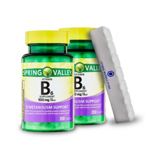 Spring Valley vitamina b6 100mg suplemento dietético 250 tabletas