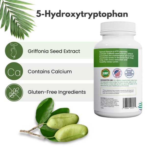 Version 1.0.0 Calcio incluido para absorción