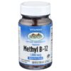 Version 1.0.0 Sprouts Methyl B-12 1000 mcg frasco