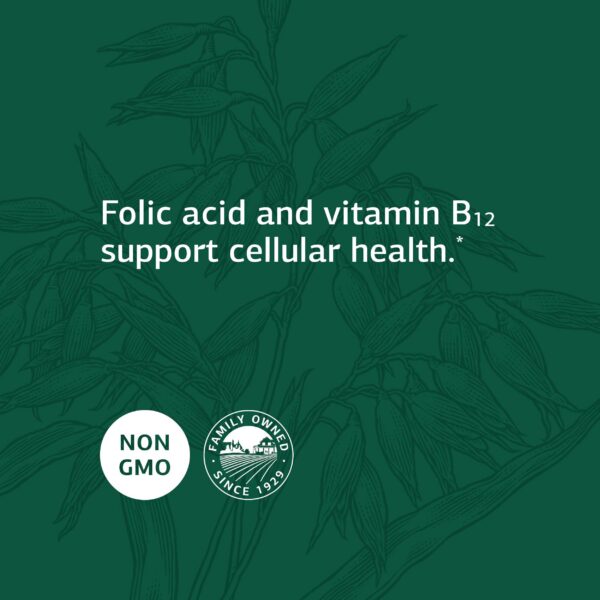 Standard Process ácido fólico B12 niveles saludables de homocisteína