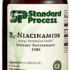 Standard Process B6-Niacinamida botella frontal 330 tabletas
