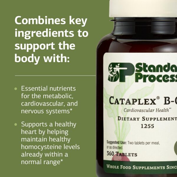 Version 1.0.0 Presentación de Cataplex B-GF