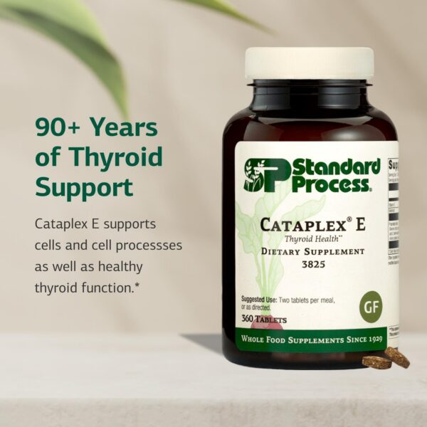 Etiqueta gluten-free y sin lacteos