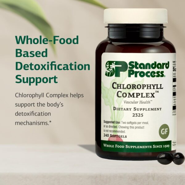 Frasco de Standard Process Chlorophyll Complex