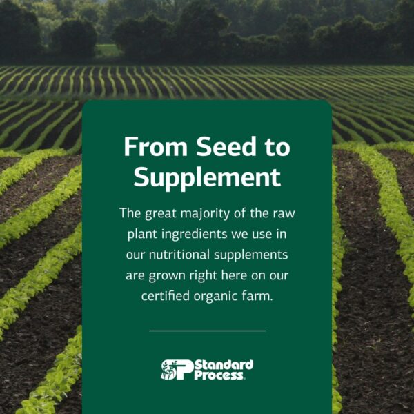 Version 1.0.0 Etiqueta de producto E-Z Mg