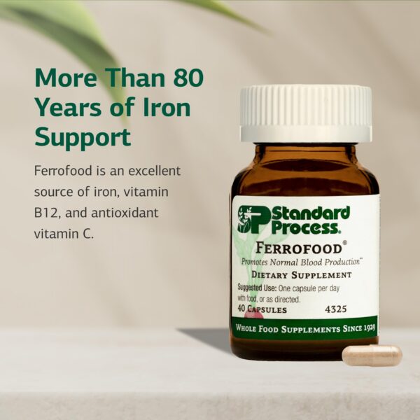 Version 1.0.0 Cápsulas Ferrofood