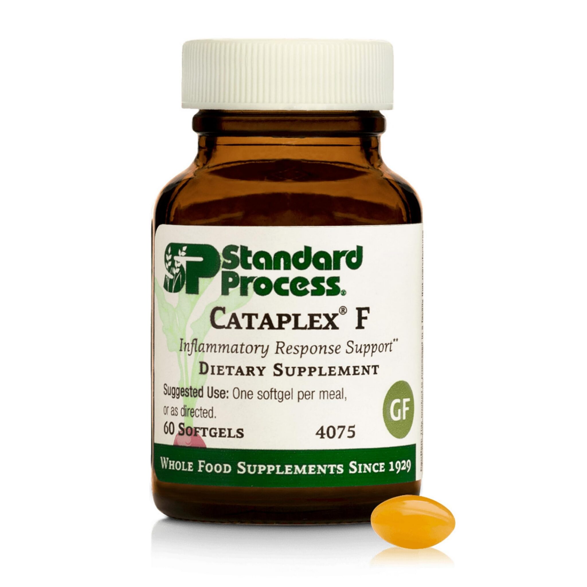Standard Process Flax Oil Plus Vitamina B6 y Omega-3 60caps