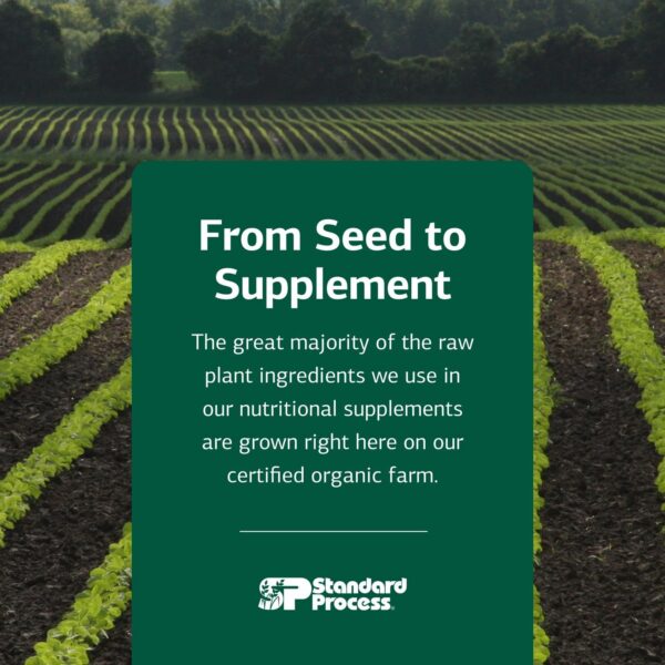 Caja externa de GI Stability