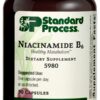 Standard Process Niacinamida B6 frasco 90 cápsulas