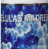 Stem Cell Enhancer Celulas Madres - frontal