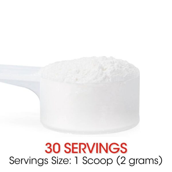 Suministro de 30 porciones de Reflux Silver Fern