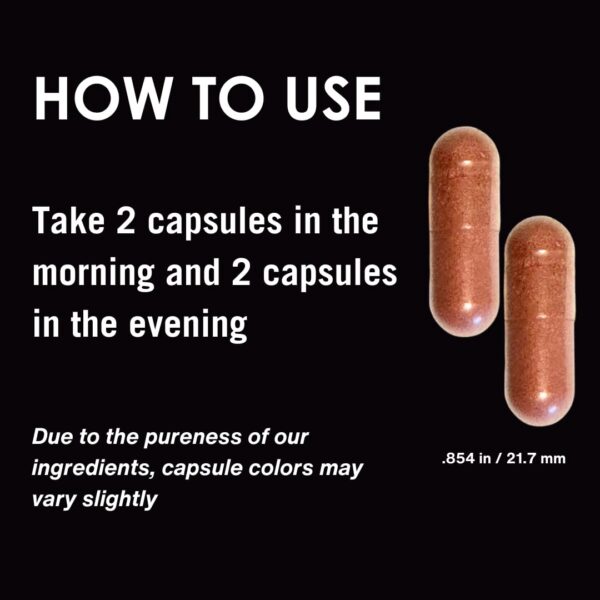 Etiqueta frontal SunArmor Advanced