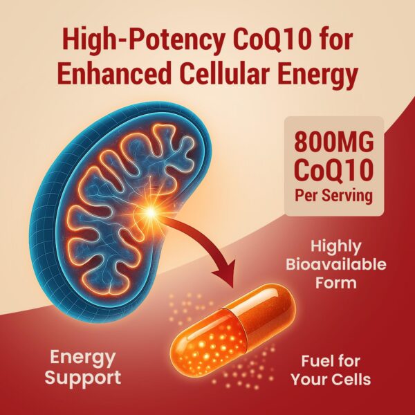 Etiqueta de Sundhed CoQ10