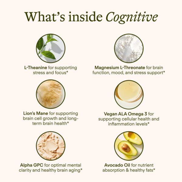 Version 1.0.0 Sobre individual Sunny Within