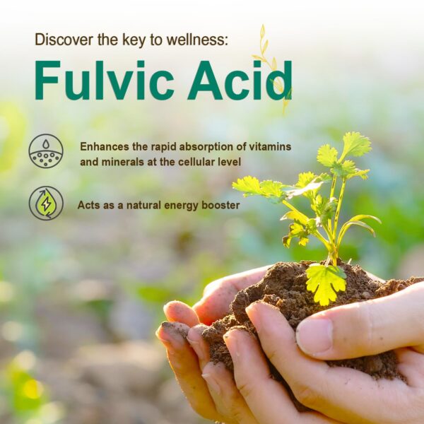 Version 1.0.0 Super Multi Vital Earth en botella con gotero