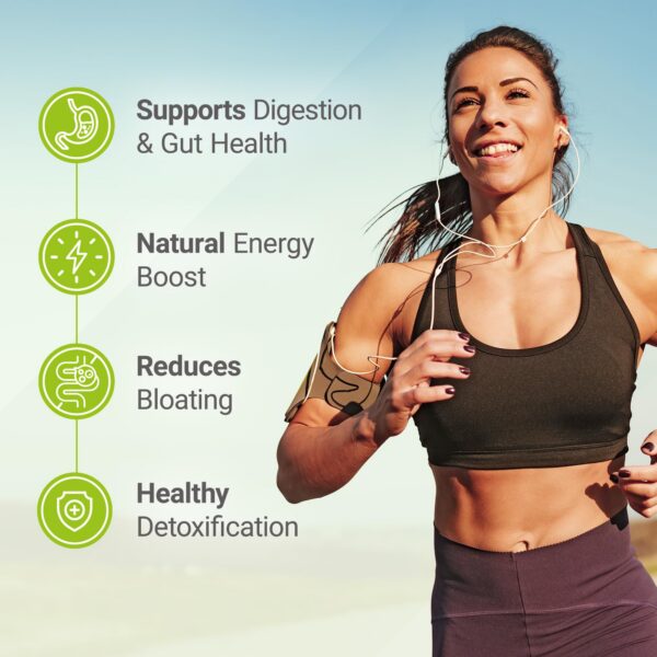 Superalimento en polvo verde con espirulina y probióticos