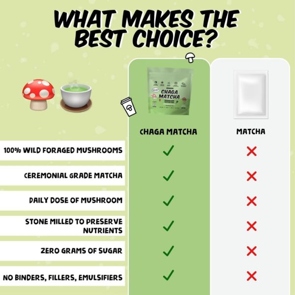 Superalimento Renude energético con adaptógenos y sabor natural