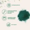 Polvo raw de espirulina en envase cerrado