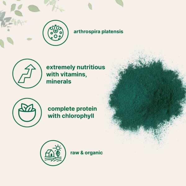 Polvo raw de espirulina en envase cerrado
