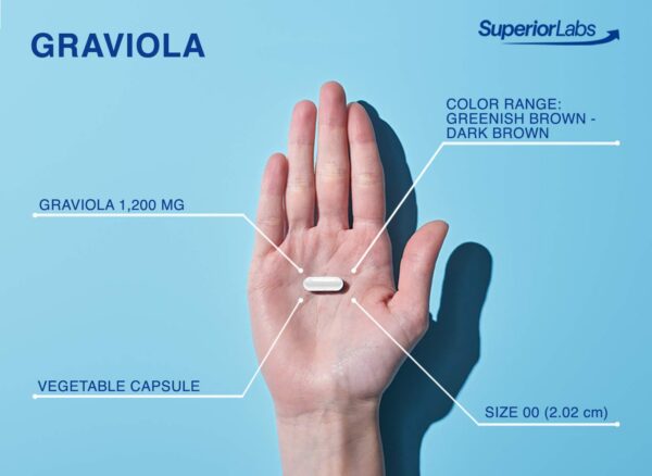 Cápsulas vegetales Graviola 1200 mg