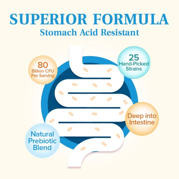 Suplemento con 25 cepas probióticas distintas NatureMyst
