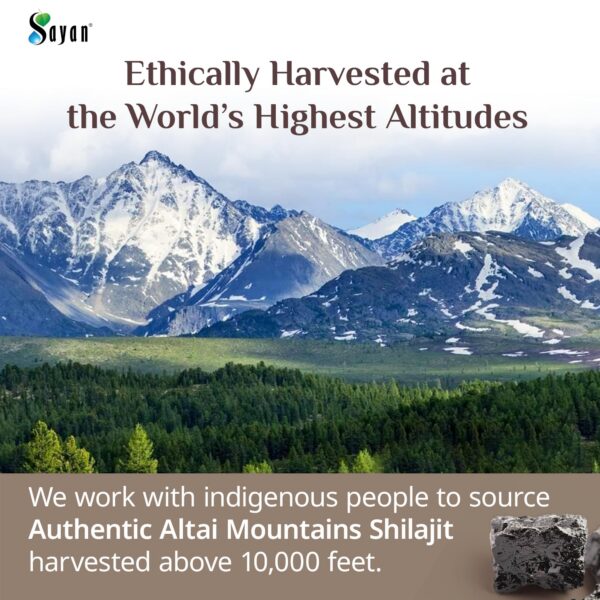 Suplemento de ácido fúlvico puro Shilajit Sayan