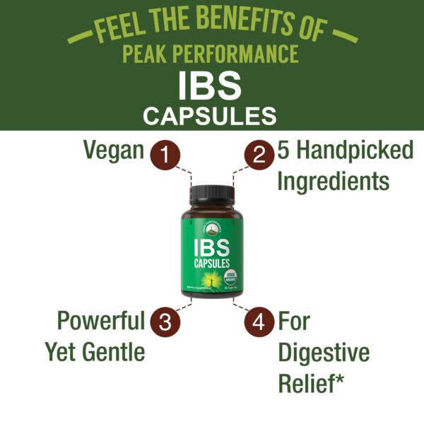 Version 1.0.0 Suplemento natural albahaca romero y hinojo para digestión saludable