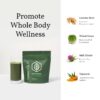 Suplemento alimenticio vegano Super Greens Terra Health Essentials