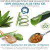 Version 1.0.0 Suplemento aloe vera NutriWorth lado del frasco