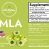 Suplemento amla orgánico vitamina c natural