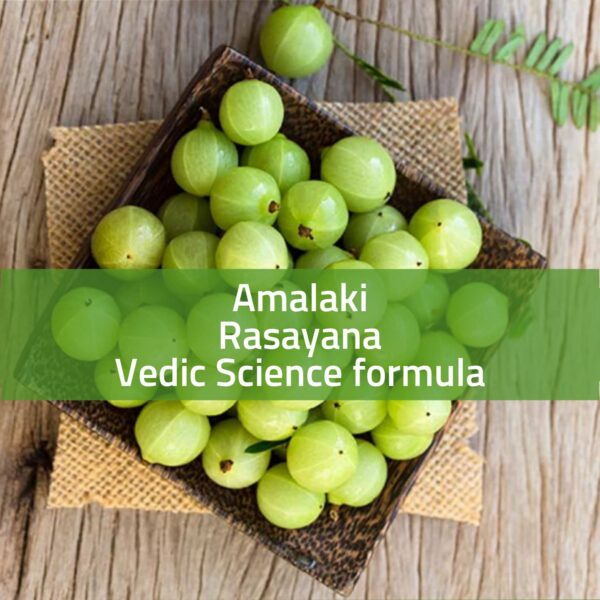 Version 1.0.0 Suplemento Amla polvo orgánico herbal para energía y antioxidantes