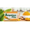 Version 1.0.0 Suplemento Ampalaya Plus cápsulas veganas naturales 550mg